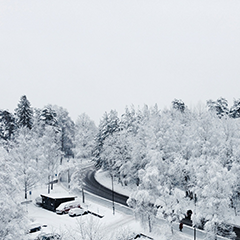 Winter in Stockholm. Photo: Katharina Deppisch
