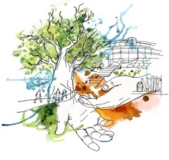 Årets lärare Pedagogiska priset Illustration: Sara-Mara/Söderberg Agentur