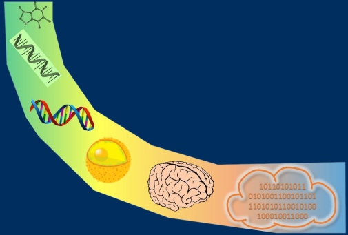 Major evolutionary transitions