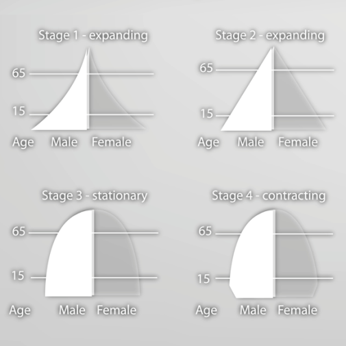 Demographic transition