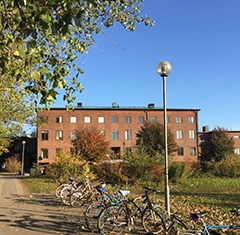 Institutionen för kultur och estetik oktober 2018 Institutionen för kultur och estetik oktober 2018