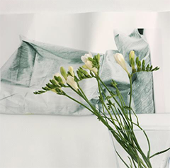 Warped White flowers in a vase.