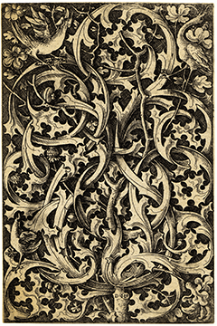 Hopfer, Daniel (ca 1470-1536): Ornament with Thistle (Gothic Thistle)