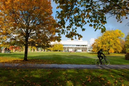 Campus om hösten. Träd i höstfärger och en man som cyklar. Foto: Ingmarie Andersson.