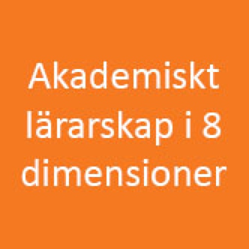 Akademiskt lärarskap i åtta dimensioner