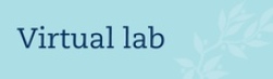 Virtual lab 